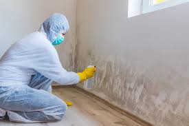 Best Environmental Consulting for Mold Prevention  in Hampton, GA